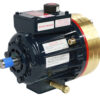 Pump (Hydra-Cell), D10