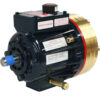 Pump (Hydra-Cell), D10