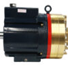 Pump (Hydra-Cell), Wanner D35