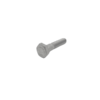 Hex Head Cap Screw- Stainless Steel
