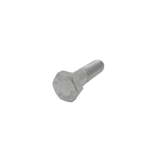 Hex Head Cap Screw- Stainless Steel