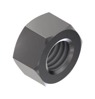Hex Nut, Stainless Steel